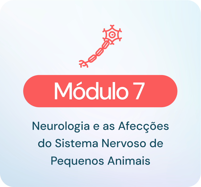 neurologia