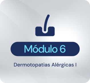 MODULO 6