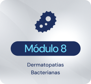 MODULO 8